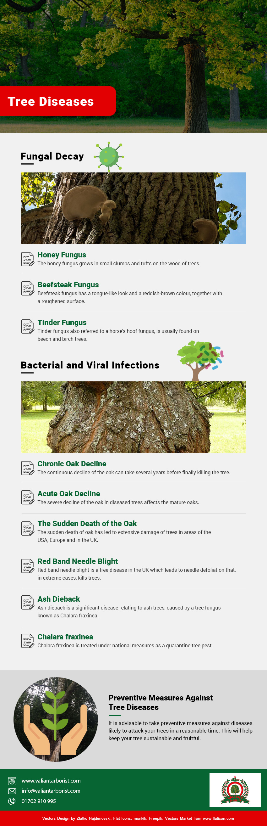 tree diseases