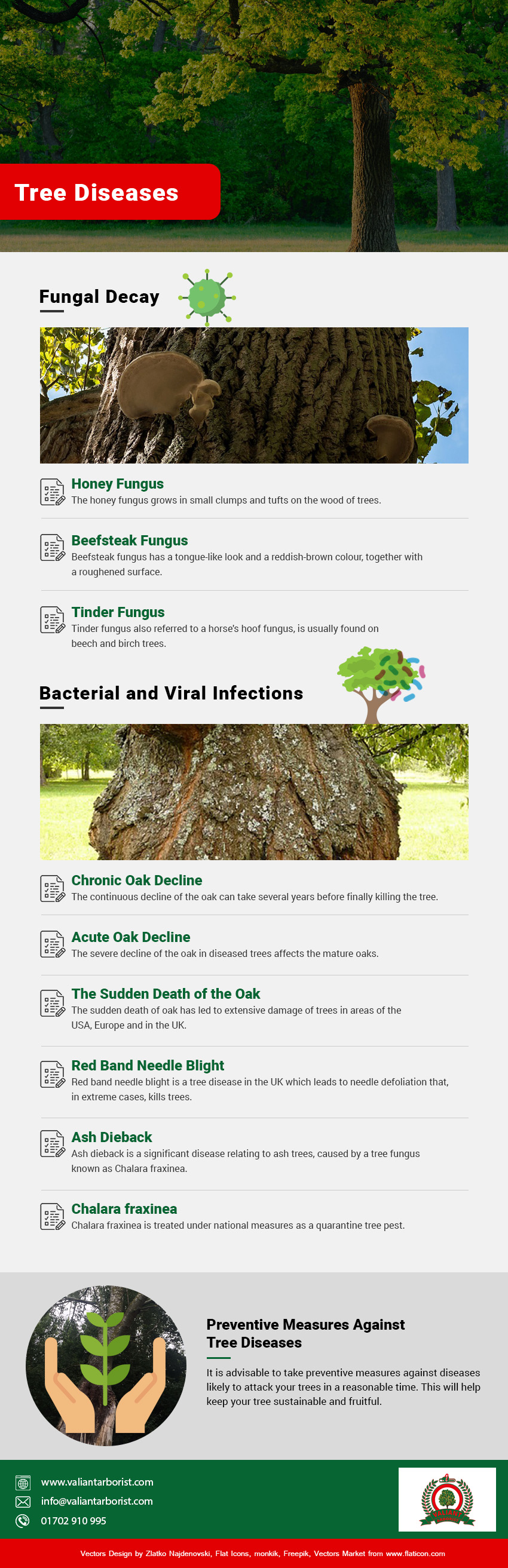 tree fungus treatment uk