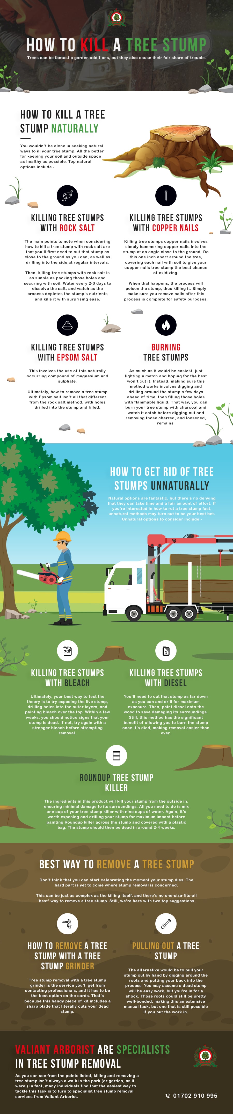 4 Easy Ways To Kill A Tree Stump Naturally Unnaturally Valiant Arborist